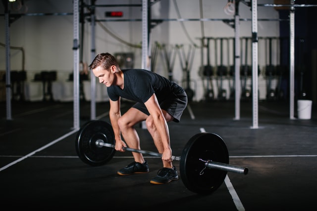 body fit body fit